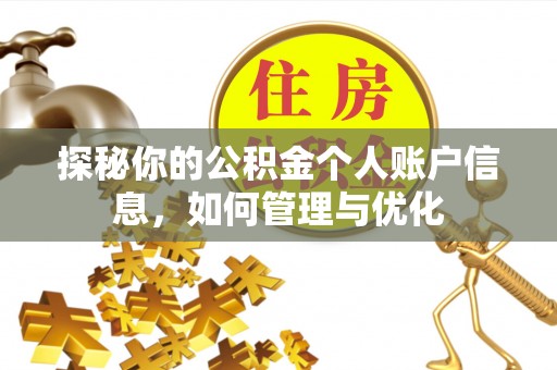 龙文探秘你的公积金个人账户信息，如何管理与优化