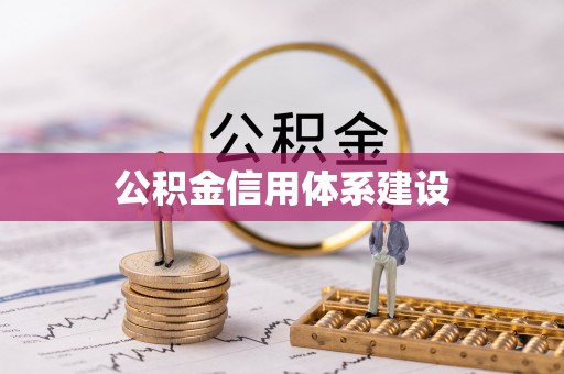 龙文公积金信用体系建设