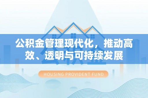 龙文公积金管理现代化，推动高效、透明与可持续发展