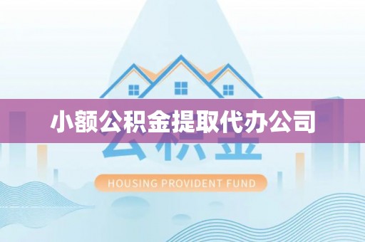 龙文小额公积金提取代办公司