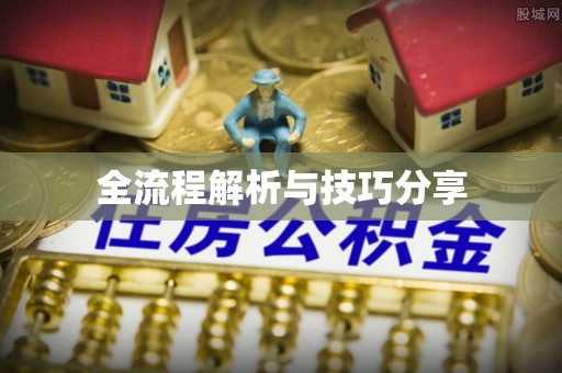 龙文全流程解析与技巧分享